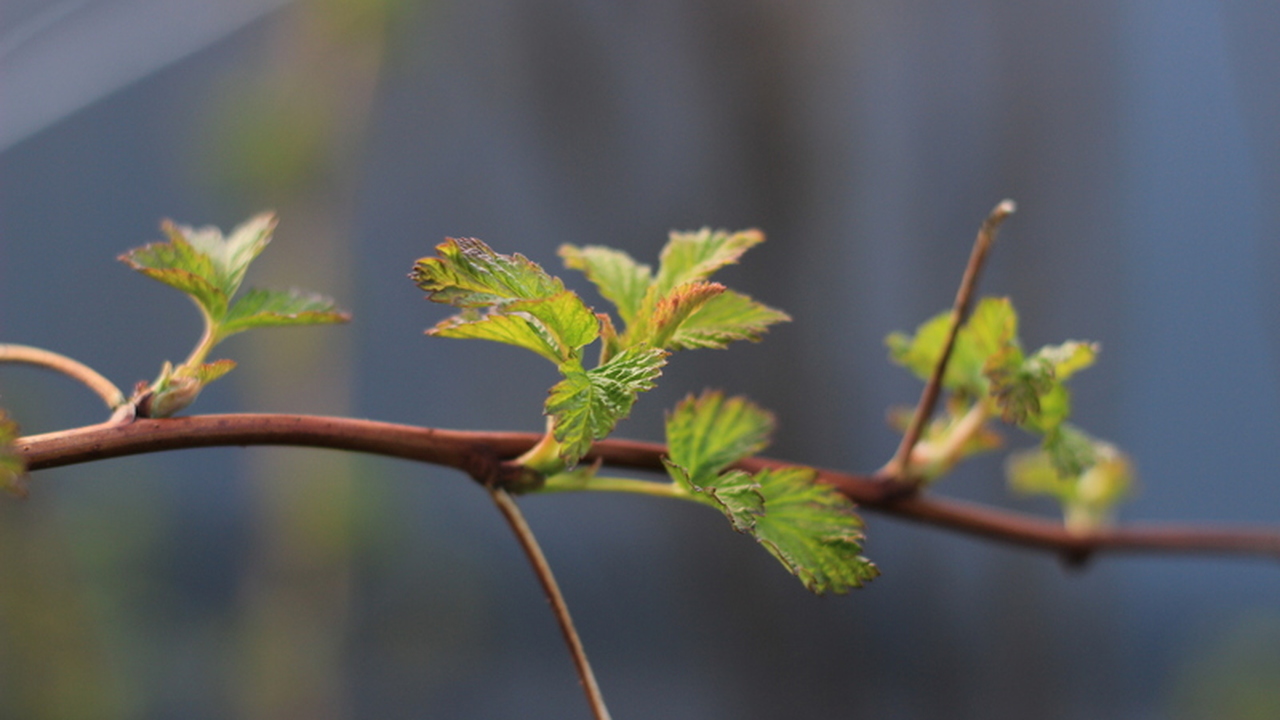 Впереди нас ждёт весна, которая удивит своей не...