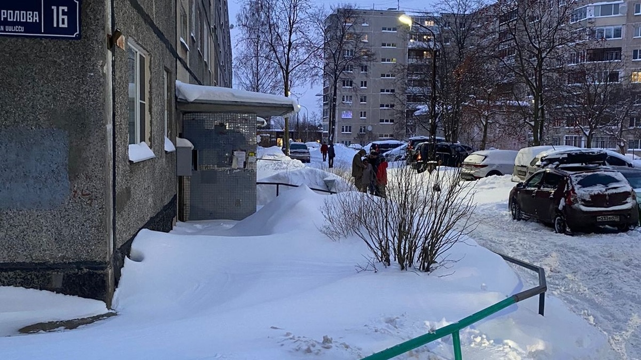 В Петрозаводске водитель, сдавая назад, сбил пе...