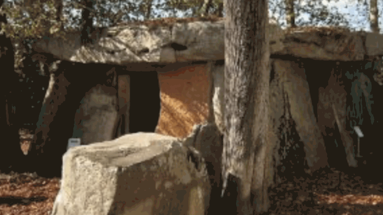 Исследование древней ДНК, проведённое на матери...