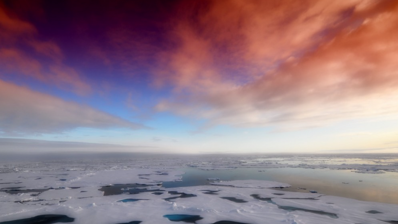 Международные научные экспедиции совершили заме...