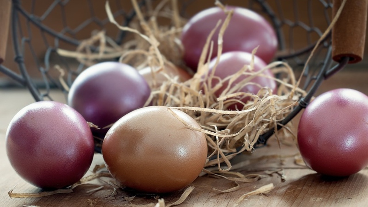 Российские птицефабрики столкнулись с неожиданн...