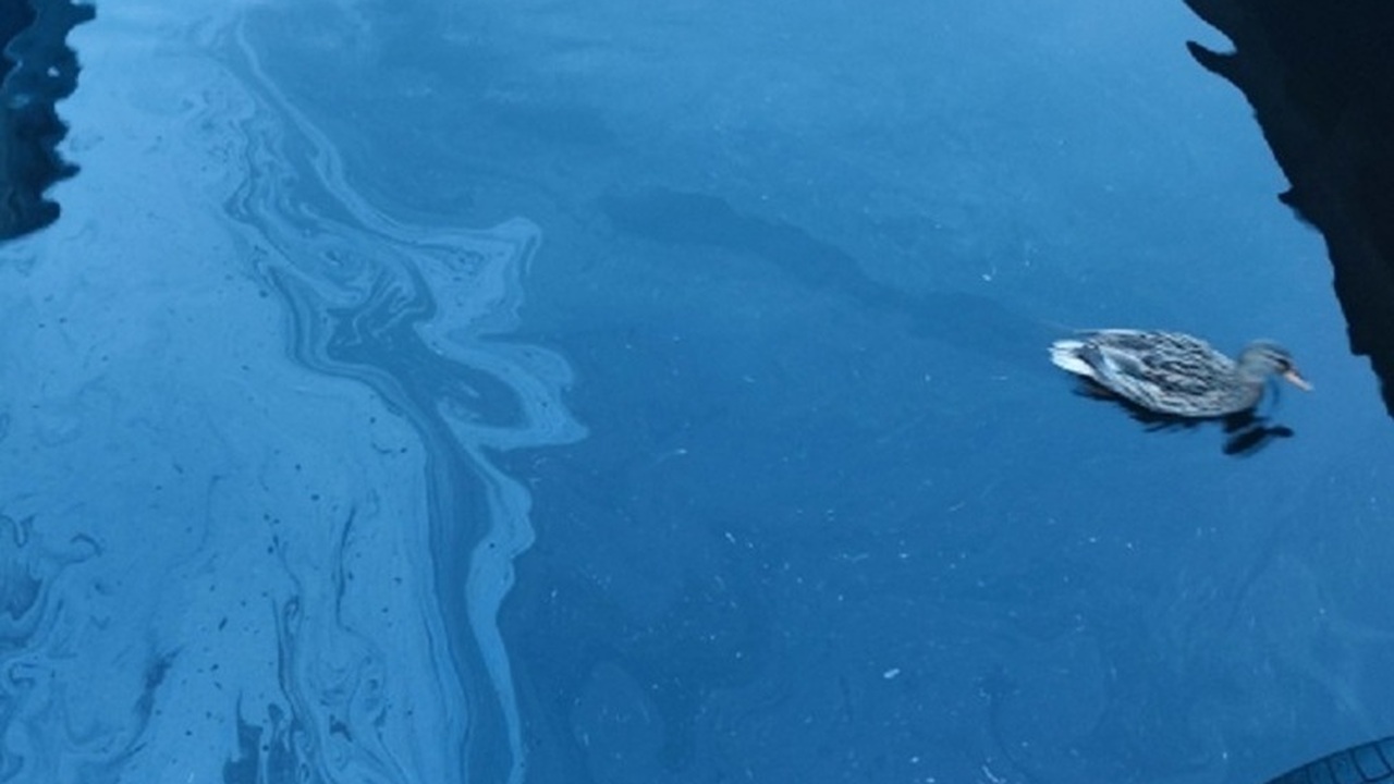 На побережье Ладожского озера, в районе Лахденп...