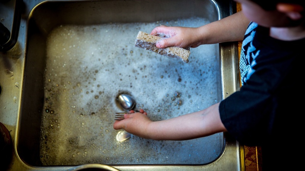 Эксперт предупреждает: привычка оставлять грязную посуду в раковине может стать причиной серьезных заболеваний Микробиолог Джейсон Тетро из Университета Ватер...