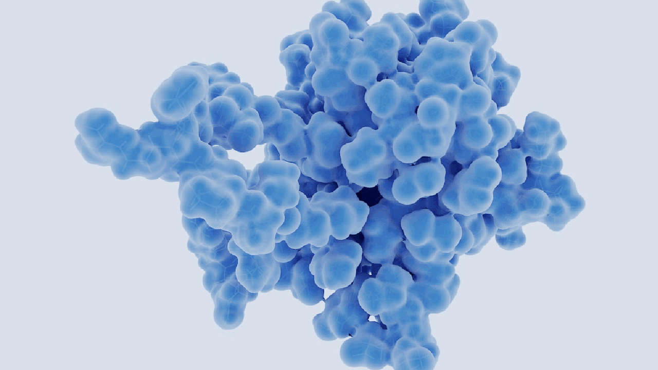 В ходе экспериментов исследователи наблюдали за...