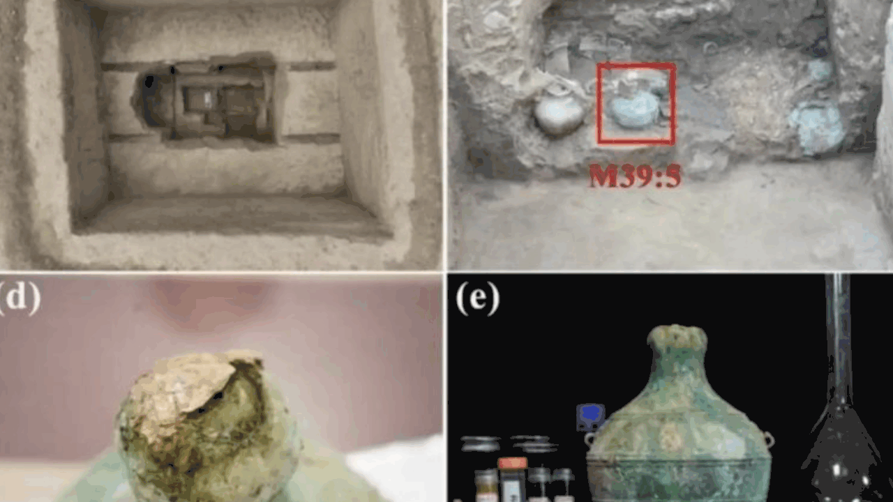 Междисциплинарная группа исследователей изучила...