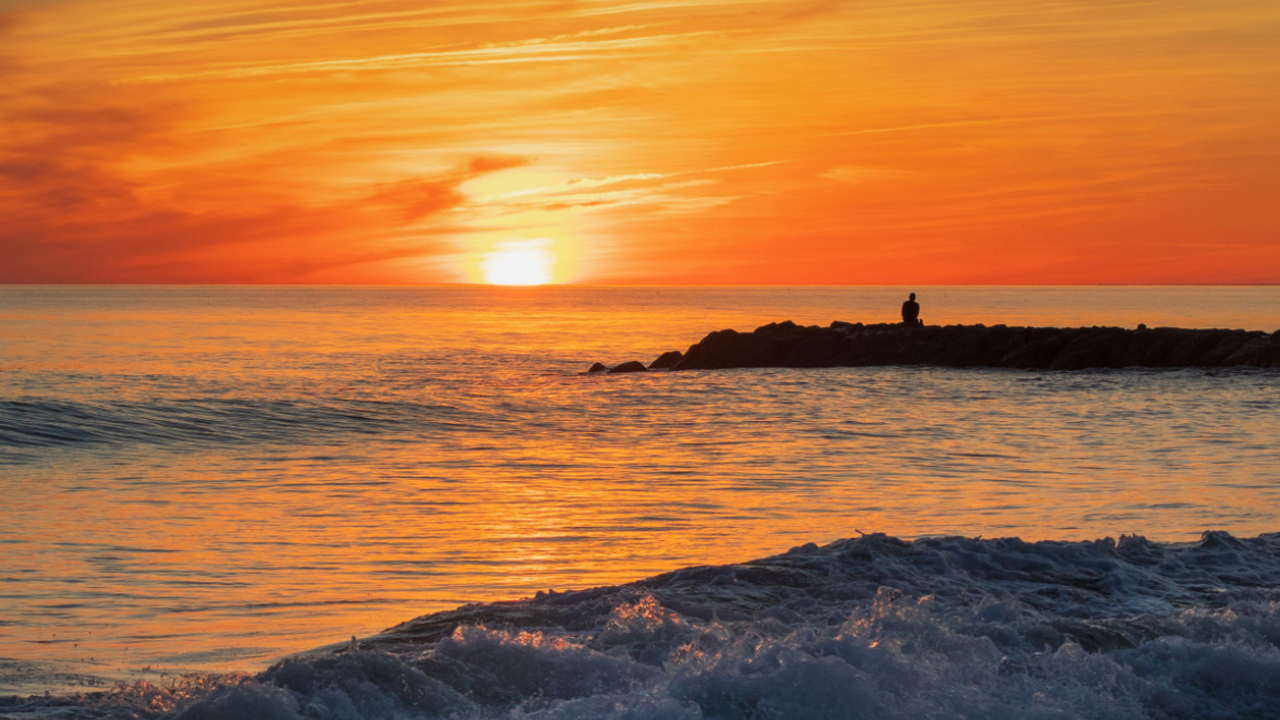 Международная группа экологов провела масштабно...