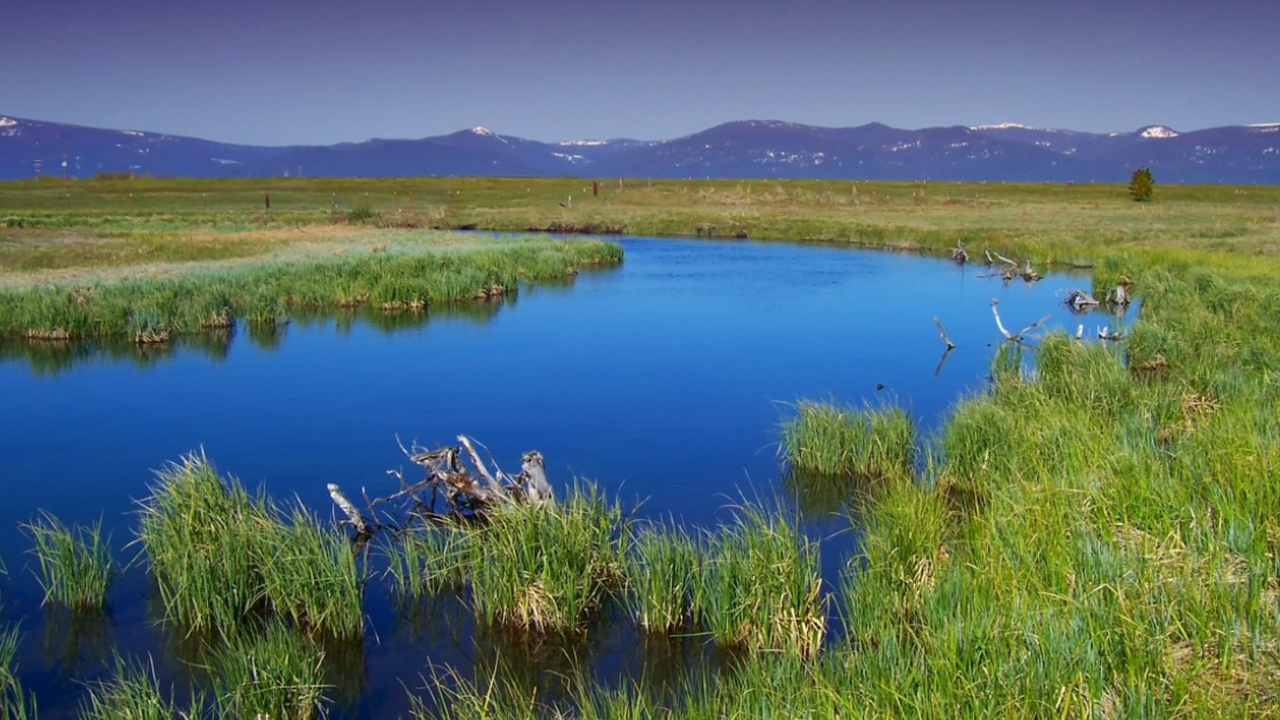 Исследование китайских ученых показало, что бол...