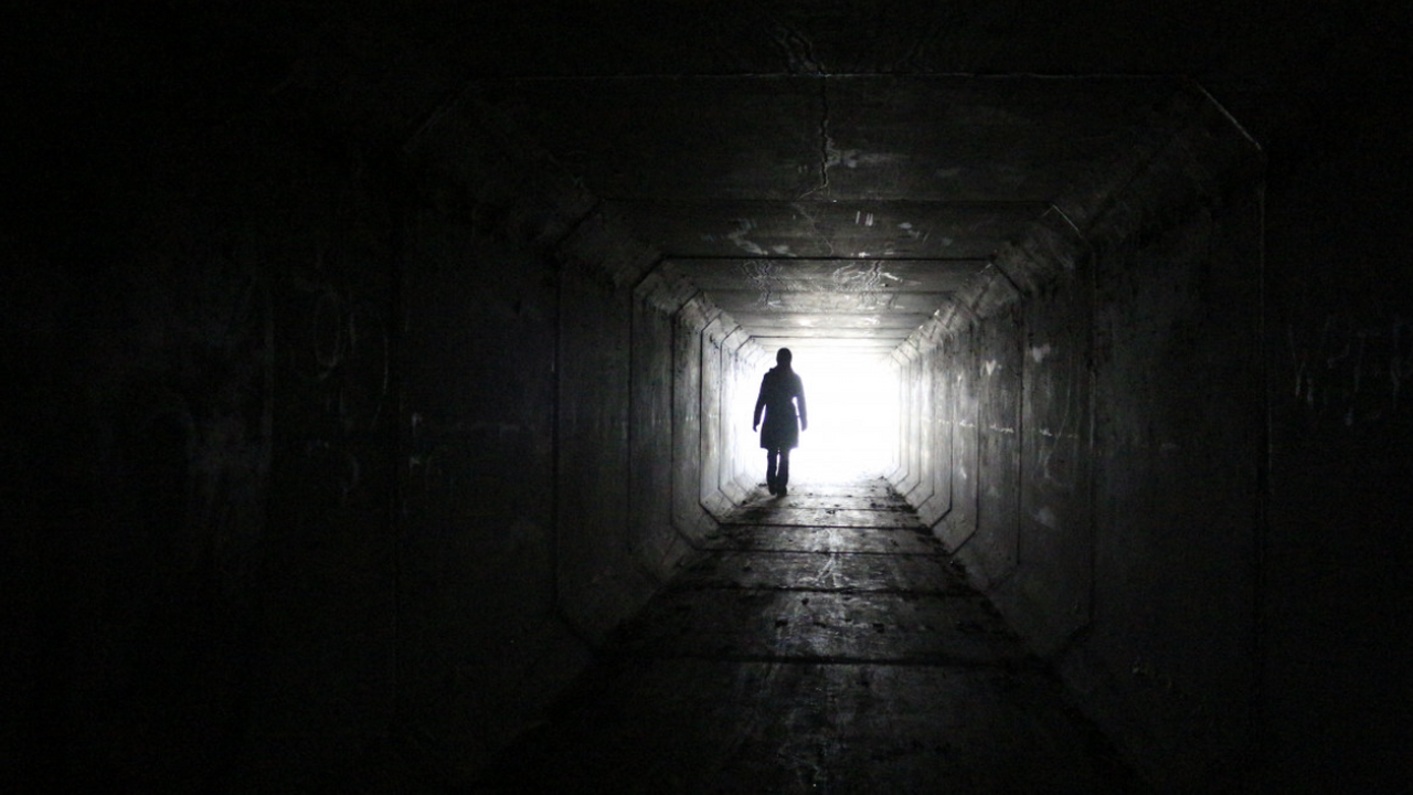 Гарвардский физик Майкл Гильен предположил, что...