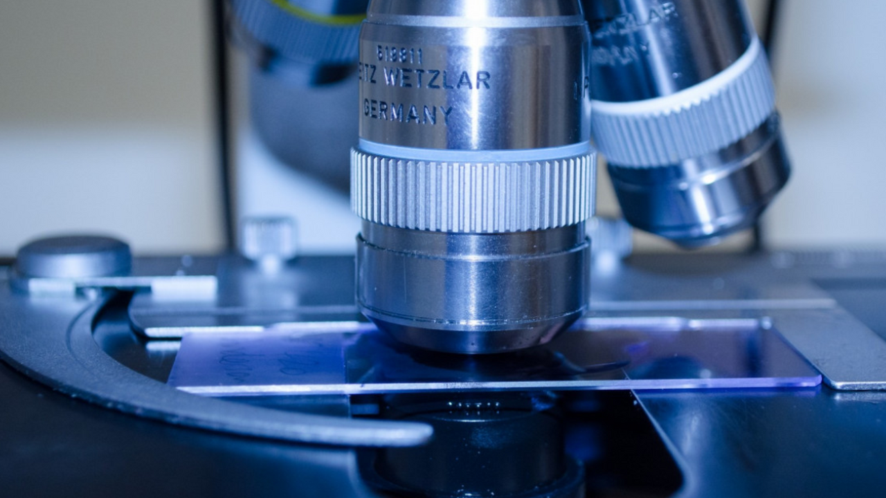 Учёные из Канзасского университета представили ...