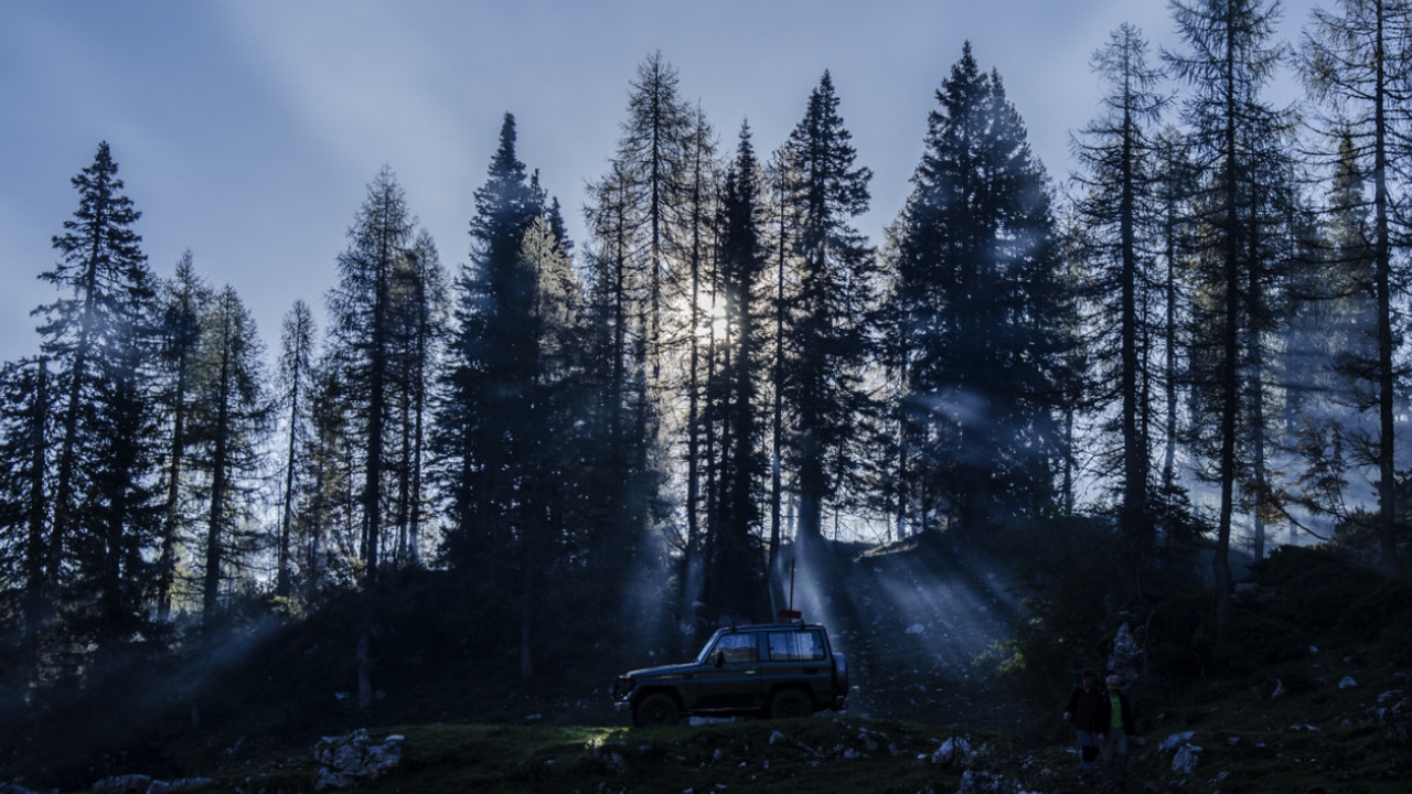 Как правильно «прикурить» автомобиль: правило 5-10-15 от автомеханика С наступлением морозов многие сталкиваются с си...