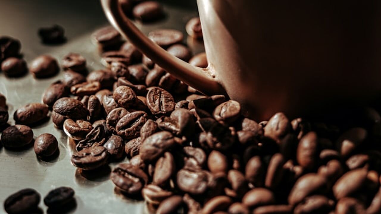 Исследование ученых Университетского колледжа К...