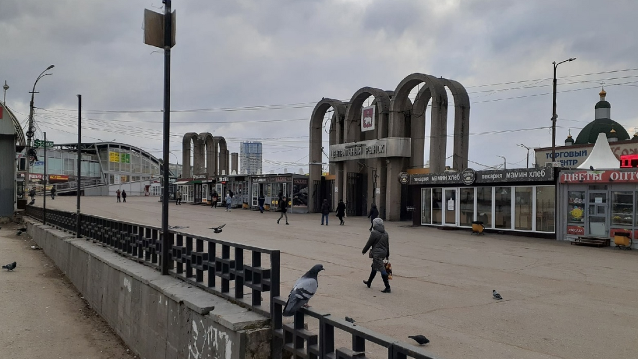 Ученые NASA и японского университета Тохо смоде...