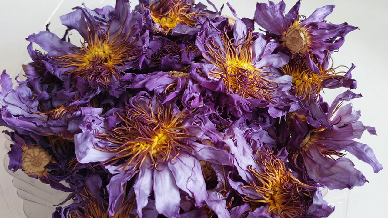 Сотрудники новосибирской таможни обнаружили и и...