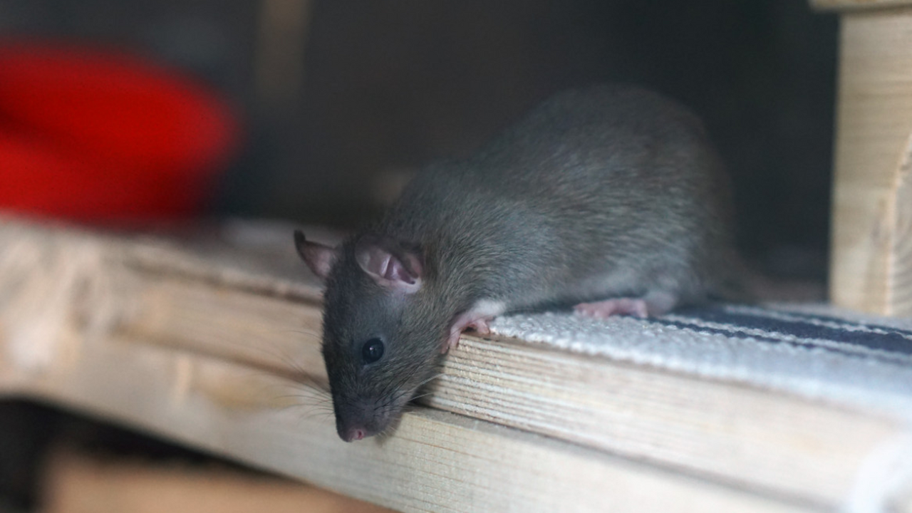 В ортопедическом отделении государственного мед...