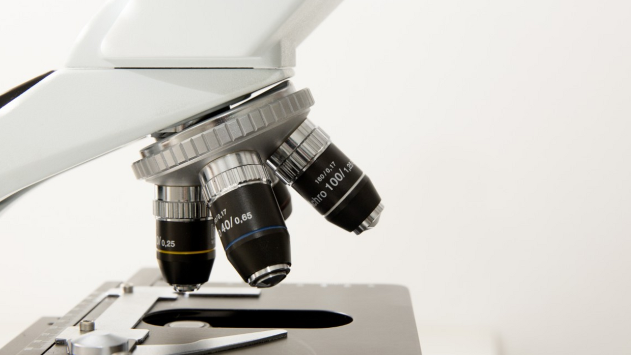 В термальных источниках национального парка «Ла...