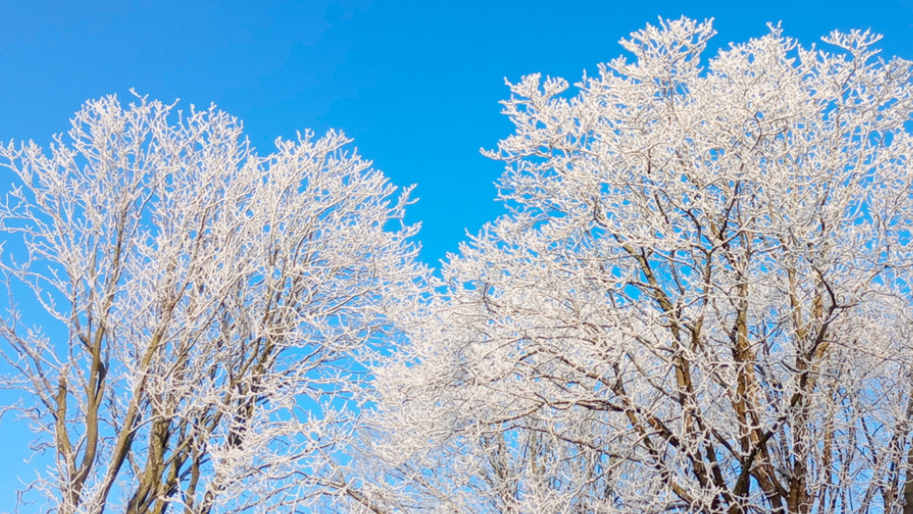 В столичном регионе прошедшей ночью вновь зафик...