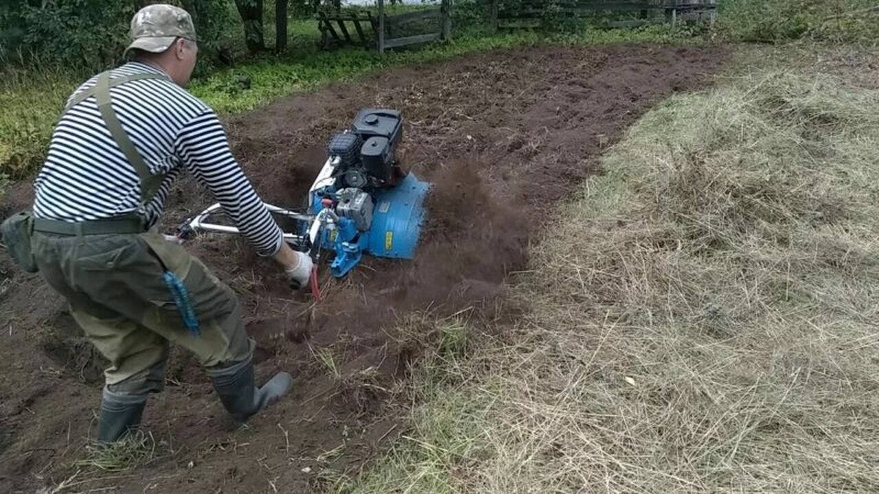 Многодетная семья из посёлка Муезерский использ...