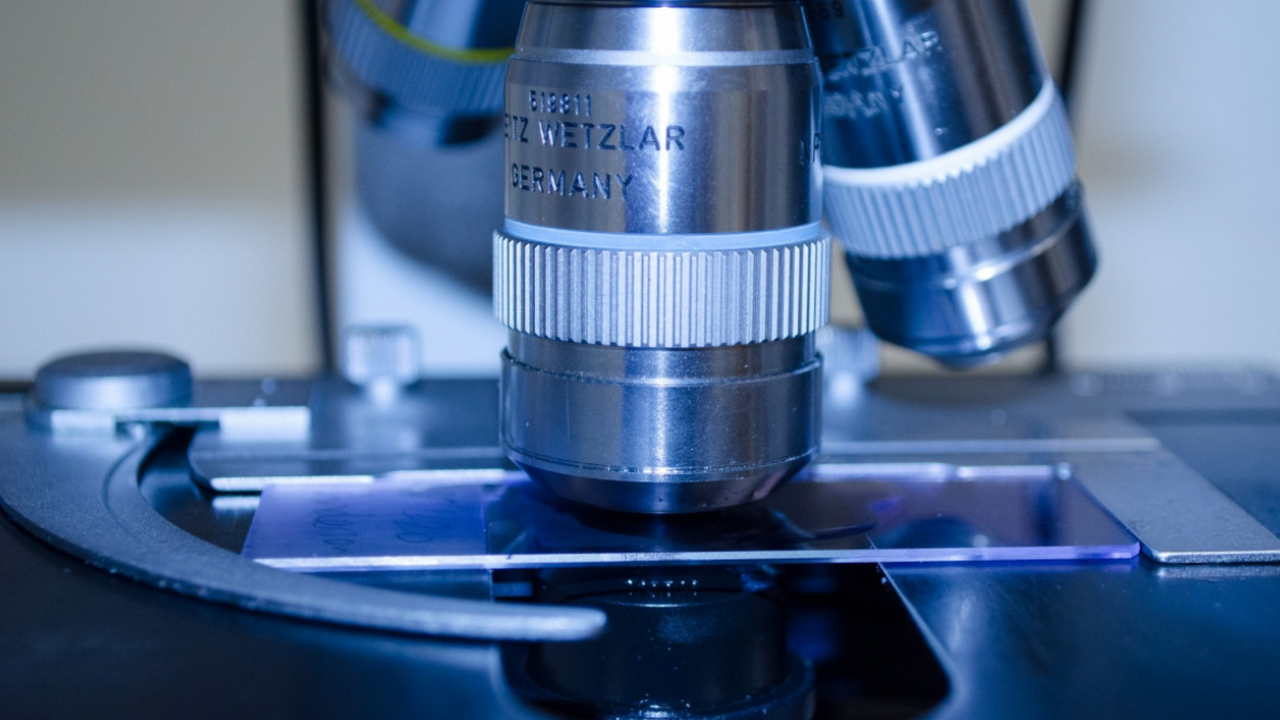 Археологические экспедиции в юго-восточной част...