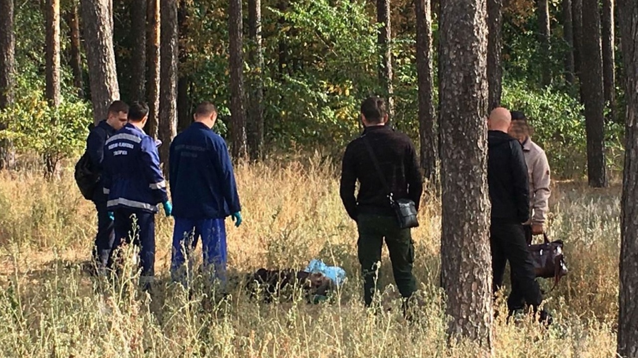 Изнасиловали и обезобразили: 20-летнюю россиянку с аутизмом нашли мёртвой в овраге после вписки Изнасиловали и обезобразили: молодую россиянку ...