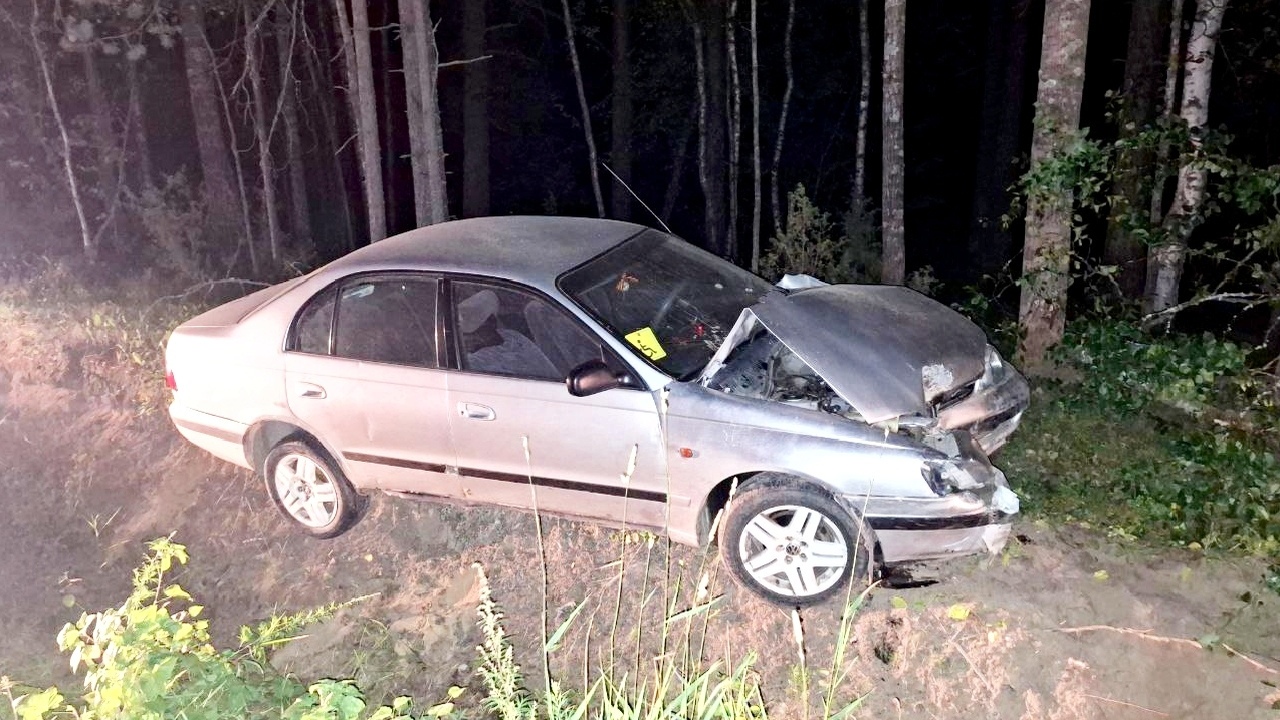 В Пряжинском районе Карелии ночью 14 августа пр...