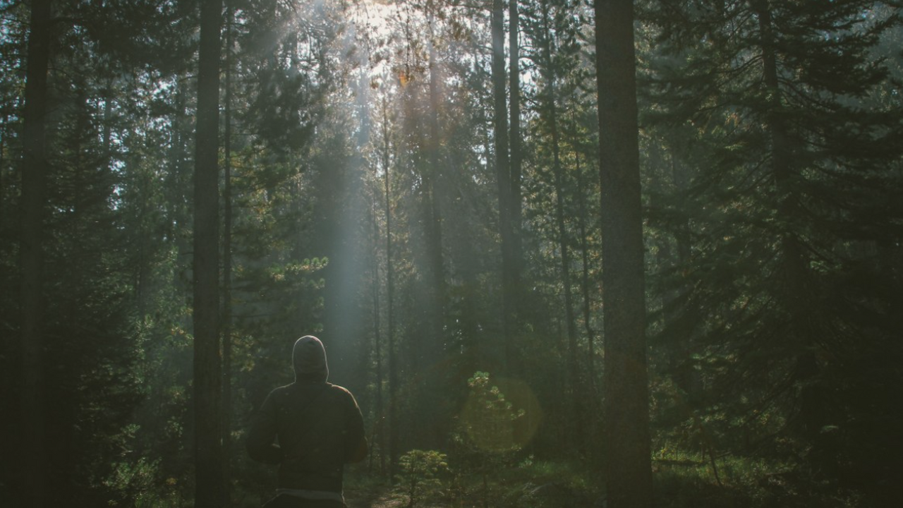 В России обнаружили место, где люди теряют чувство времени и пространства В одном из регионов России исследователи зафикс...