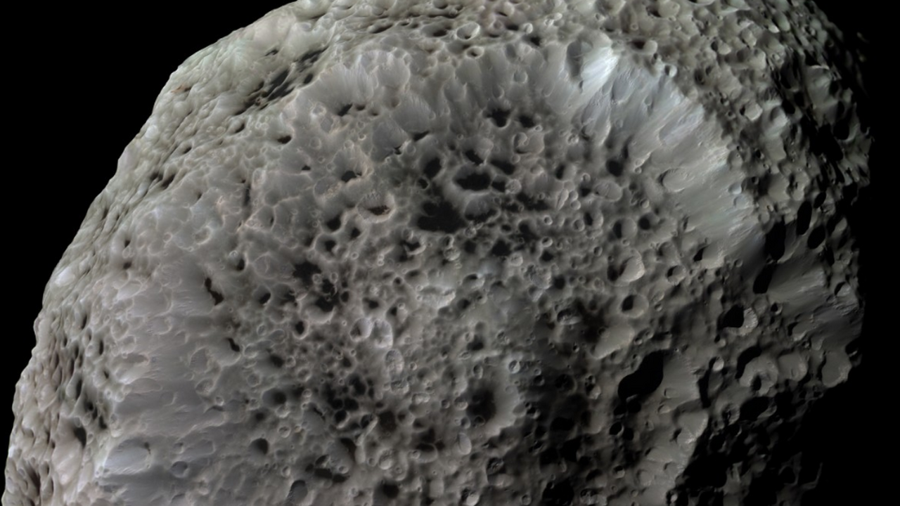 Профессор Сергей Язев сообщил, что человечество...