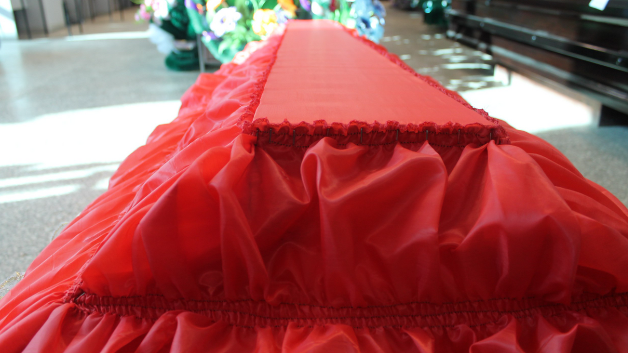 Австралийские и шведские учёные сделали сенсаци...