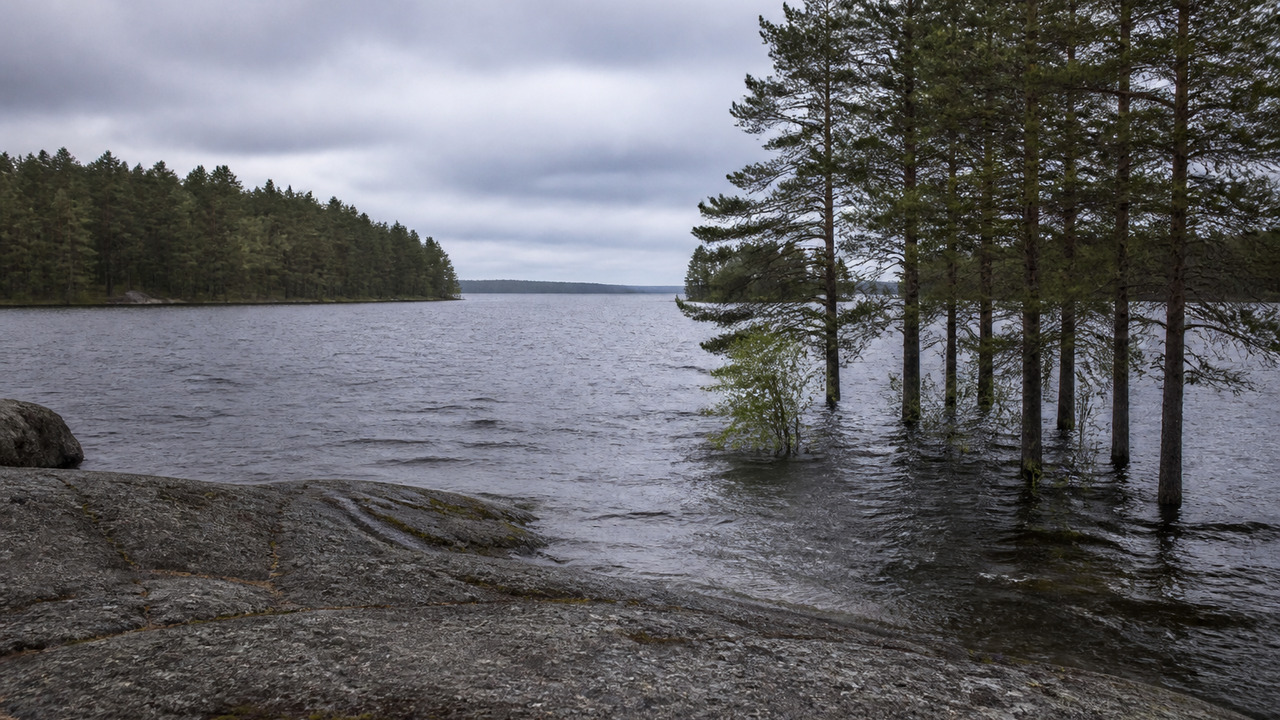 Уровень воды в Юшкозерском водохранилище превыс...