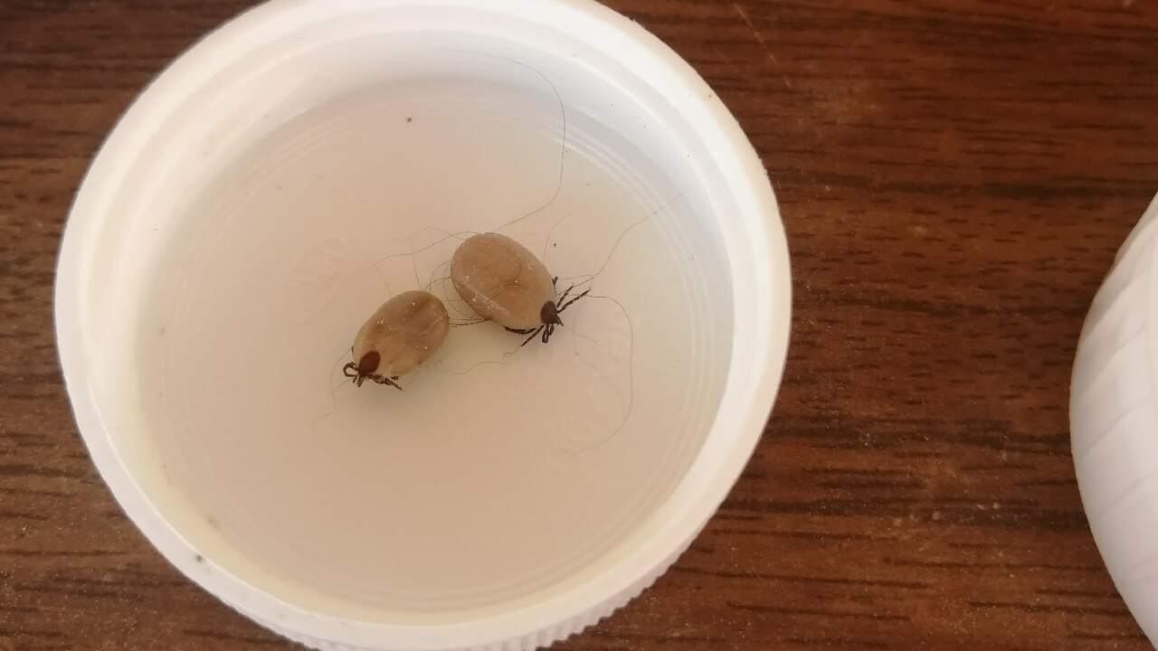 Эксперты рассказали, как правильно защититься о...