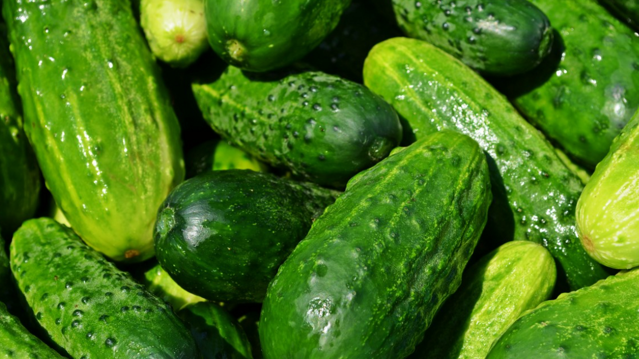 Рост цен на огурцы в России резко замедлился Росстат сообщил, что в период с 10 по 16 феврал...