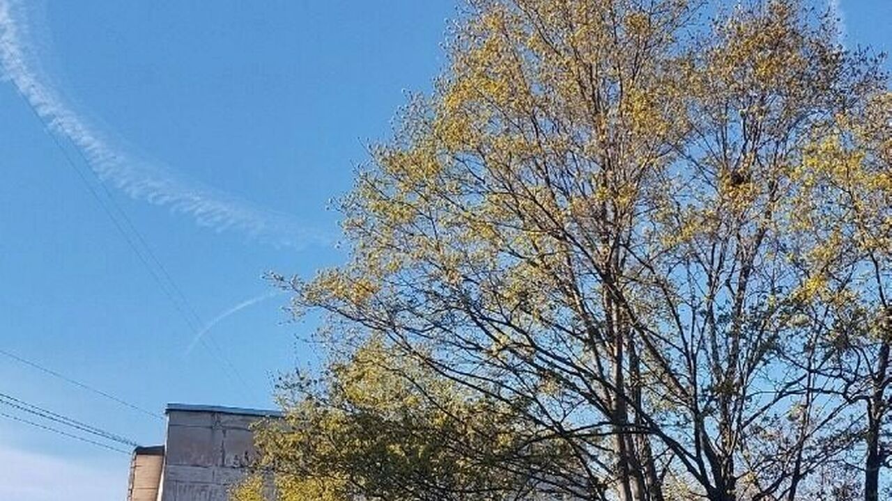 «НЛО над Кондопогой?»: в небе заметили странные кольца В Кондопоге вечером 19 мая заметили необычное я...
