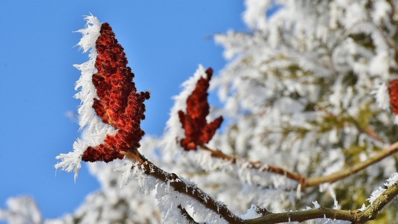 Россия готовится к рекордным погодным аномалиям наступающей зимой Синоптики предсказывают, что зима 2025-2026 год...