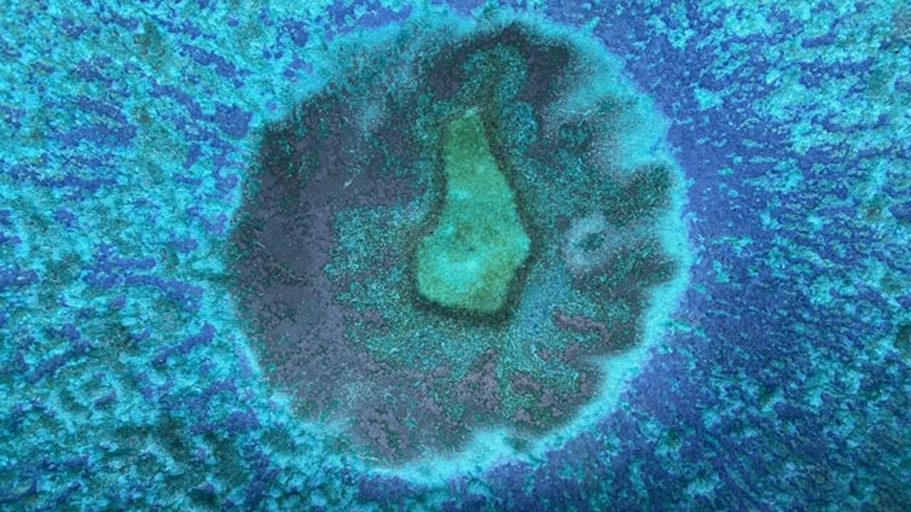 Санкт-Петербургский государственный аграрный ун...