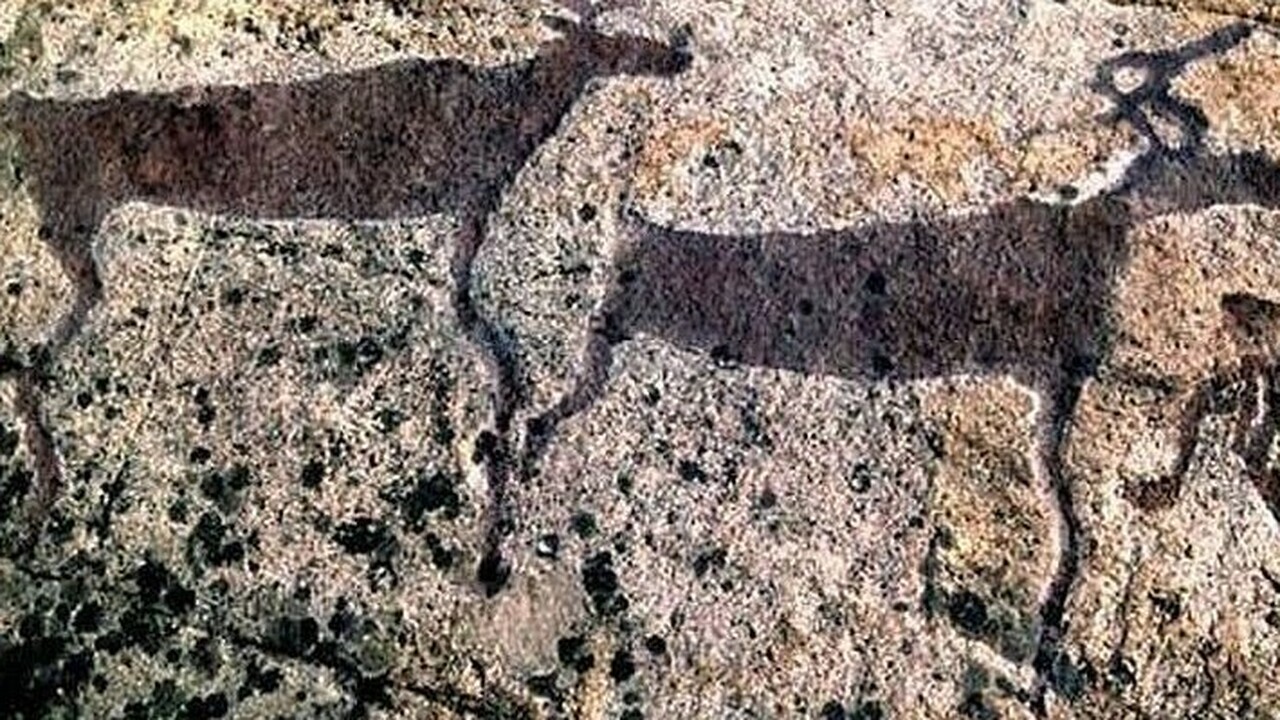 Поток туристов к беломорским петроглифам в Респ...