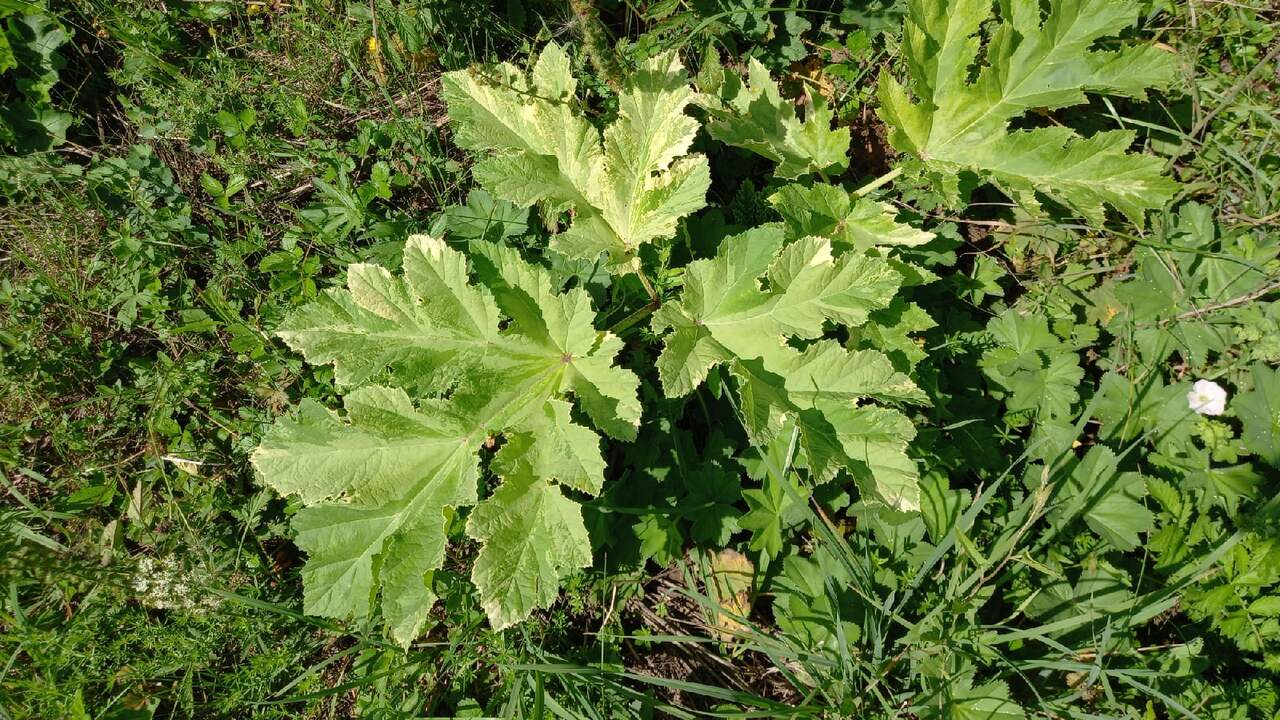 С 1 марта 2026 года для владельцев дач и участк...