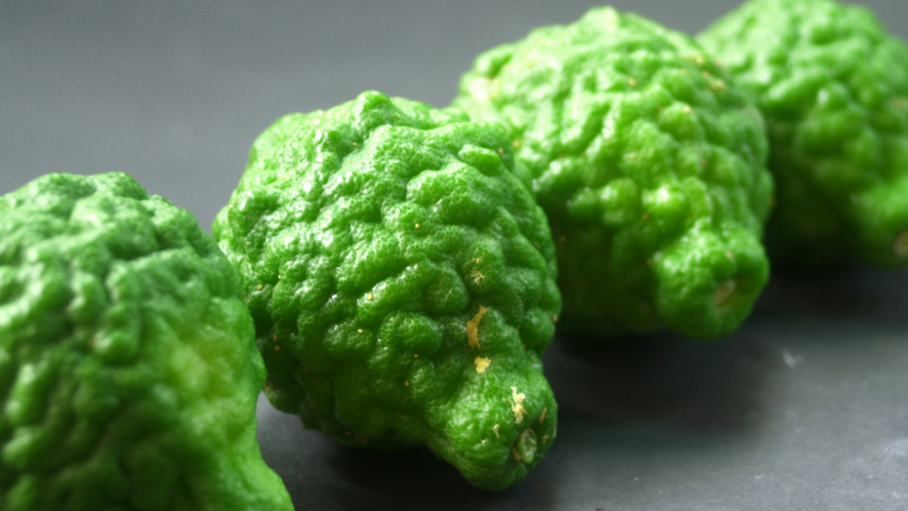 Полифенолы бергамота могут снижать жировую нагр...