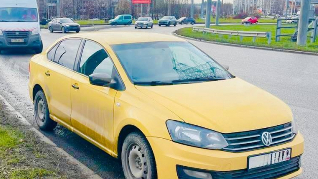 В Петрозаводске развернулась активная борьба с ...