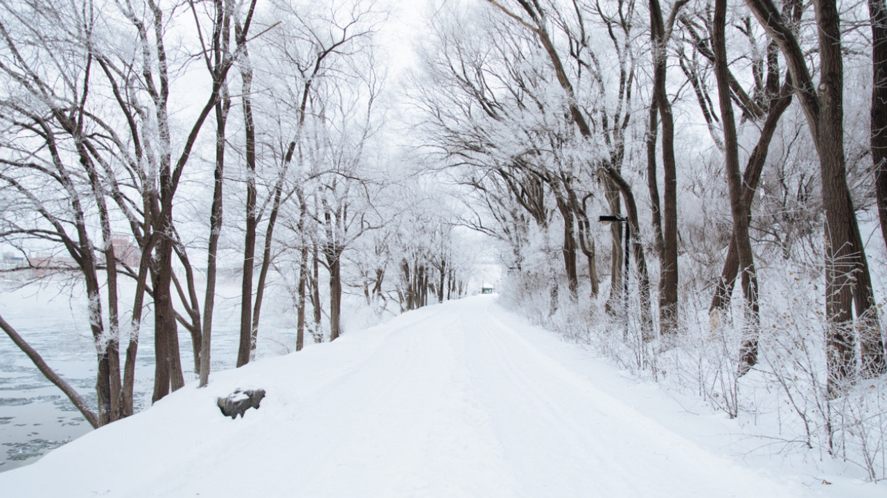 В предстоящую зиму россияне будут трудиться все...
