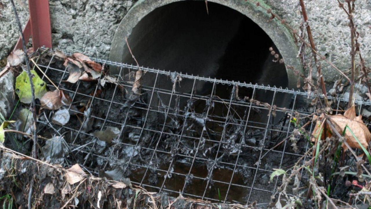 Жители Петрозаводска обеспокоены состоянием рек...