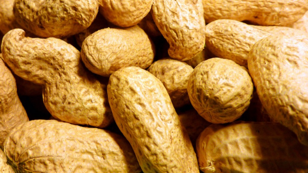 Специалисты из Маастрихтского университета в Ни...