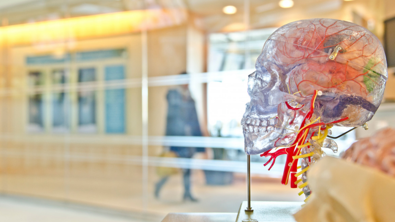 Речь идёт о действии, которое многие совершают ...