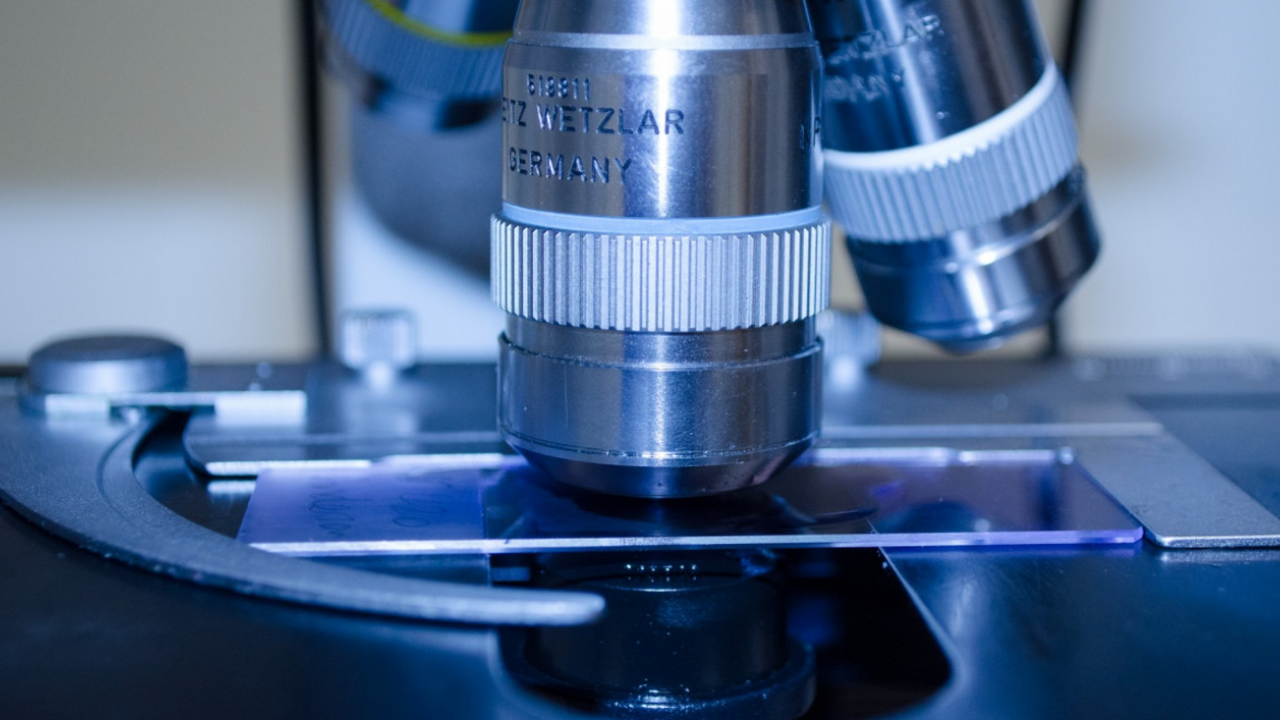 Ученые установили нейроны, вызывающие тревогу и нашли способ их успокоить Испанские исследователи сумели обратить тревожн...