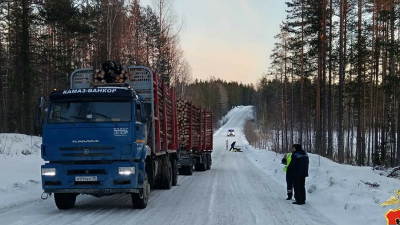 В Карелии лесовоз насмерть переехал водителя кв...