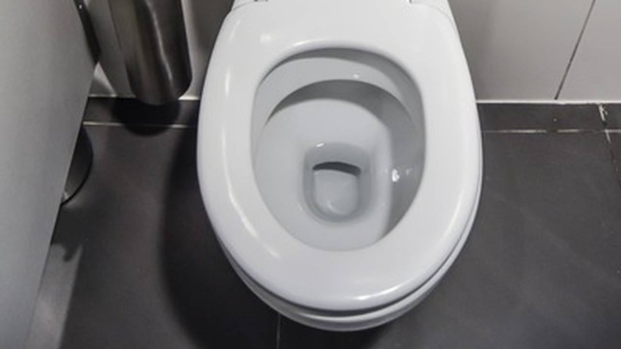 Поддержание чистоты в санузле – задача, требующ...