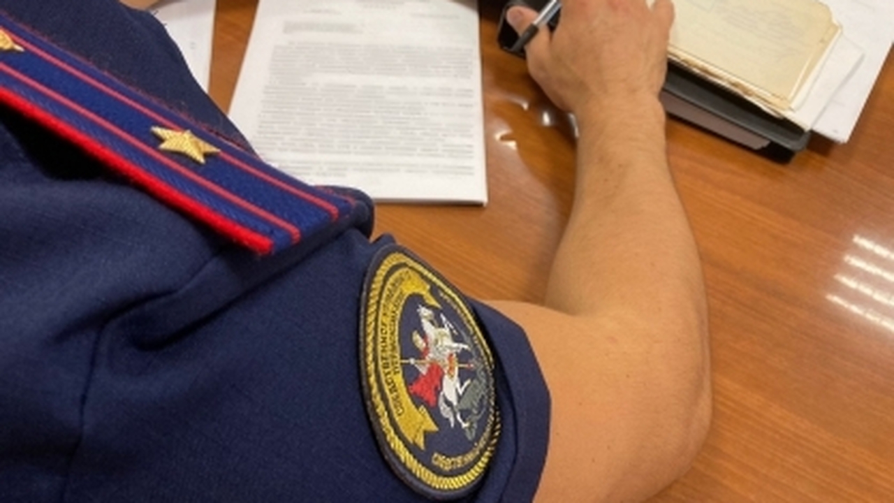 В Москве возбуждено уголовное дело после шокиру...