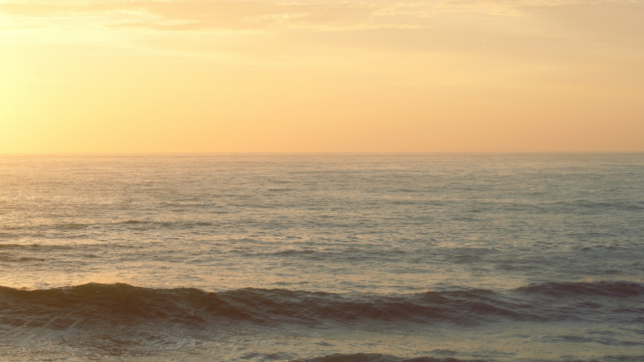 Ученые нашли, куда исчезает пластик из океанов Исследователи из Японии и Таиланда раскрыли одн...