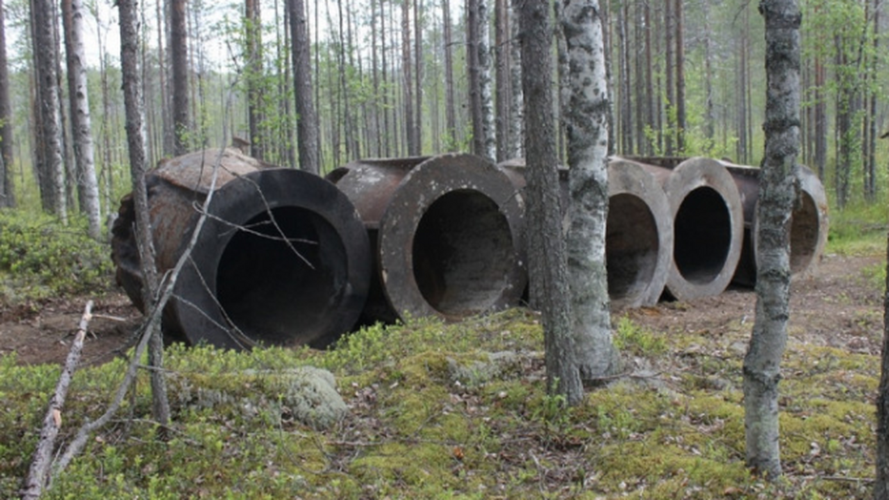 В Медвежьегорском округе пропали уникальные бро...