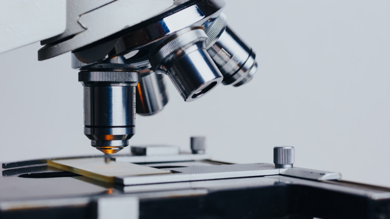 Ученые нашли «белок молодости», увеличивший жизнь на 6,6% Японские учёные обнаружили, что митохондриальны...