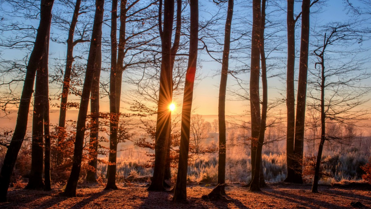 В Екатеринбурге произошло шокирующее преступлен...
