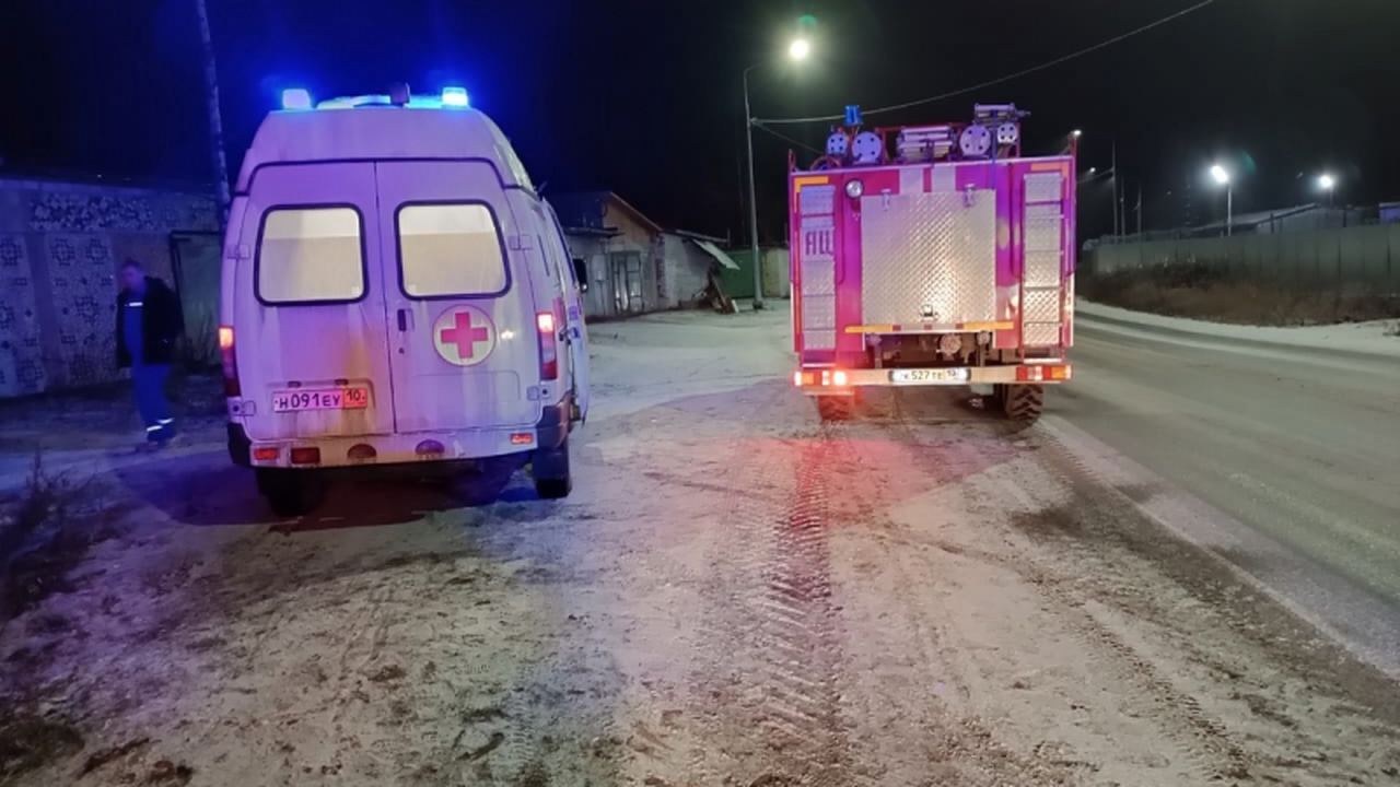 В Карелии легковушка вылетела в кювет, пострада...